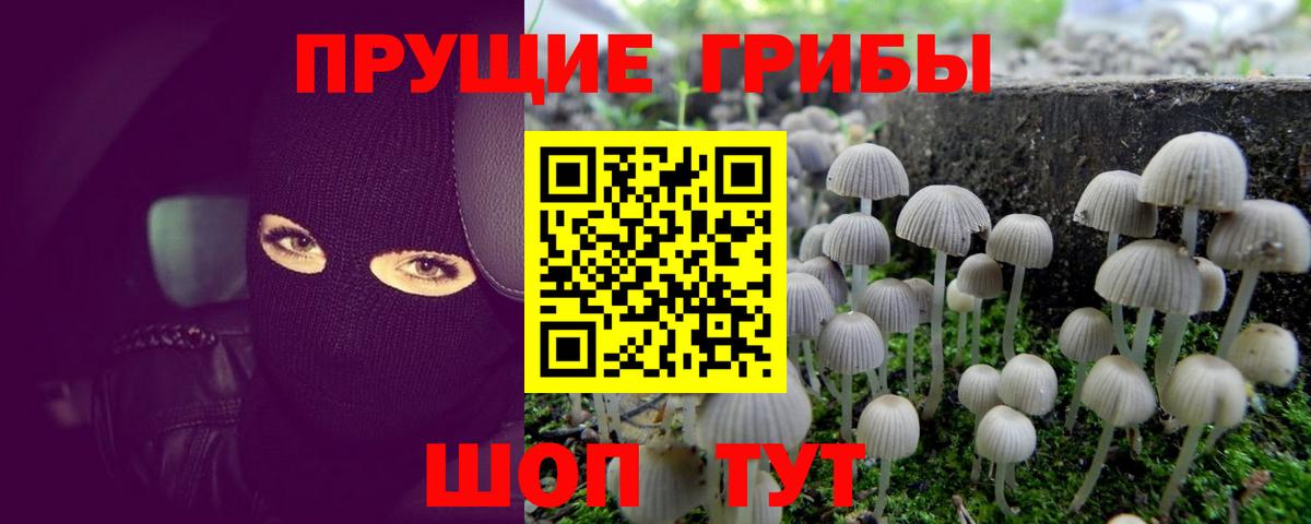 Белорецк  Галлюциногенные грибы ЛСД  Вход с VPN 